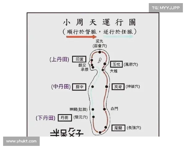 静养与锻炼的较量:老人的长寿秘诀大揭秘(长寿老人的养生秘诀) 静养与锻炼的较量:老人的长寿秘诀大揭秘(长寿老人的养生秘诀)