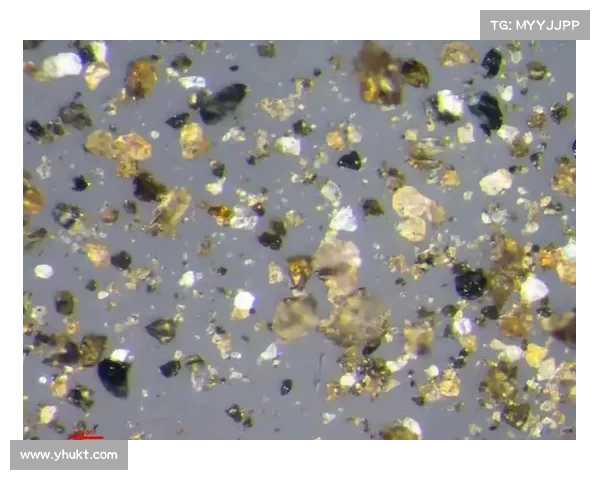 CNN对月壤供中国研究表示不满,网友理性回应展现“爱国者”风范(中国月壤分配名单) CNN对月壤供中国研究表示不满,网友理性回应展现“爱国者”风范(中国月壤分配名单)