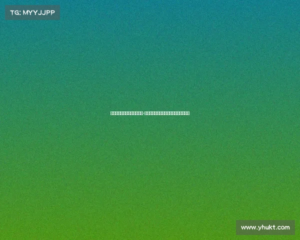 韦德能否跻身历史第卫？德文-哈里斯评新秀合同内带队夺冠的稀有成就